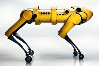 Skvělý asistenční a zároveň vodicí pes pro nevidomé by byl robot - Médium.cz